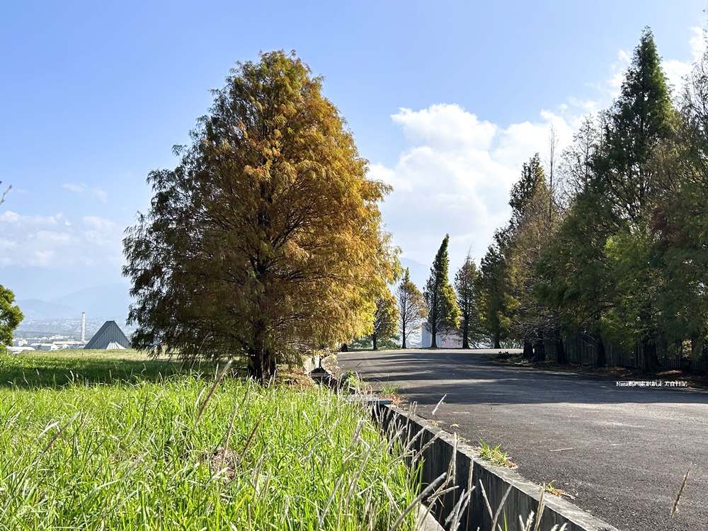 《新竹竹東旅遊》樹杞林特色公園後山落羽松.小而美隱藏版秘境(臨近竹東鎮立幼兒園) - 第9張圖 《新竹竹東旅遊》樹杞林特色公園後山落羽松.小而美隱藏版秘境(臨近竹東鎮立幼兒園)