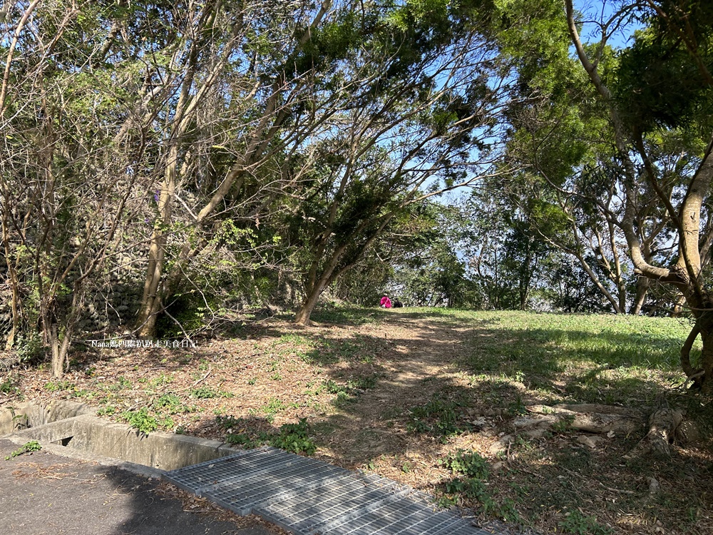 《新竹竹東旅遊》樹杞林特色公園後山落羽松.小而美隱藏版秘境(臨近竹東鎮立幼兒園)